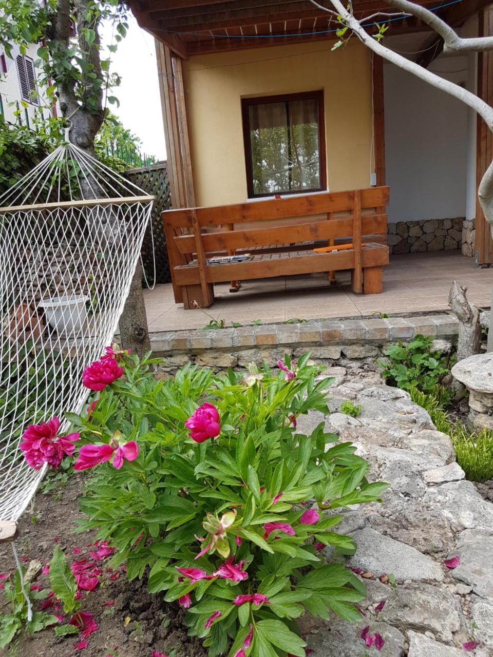 Hotel Casa Nikita à Vama Veche Extérieur photo